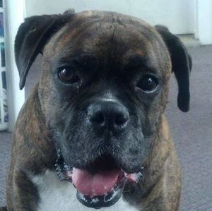 Meet your Posher, Dave